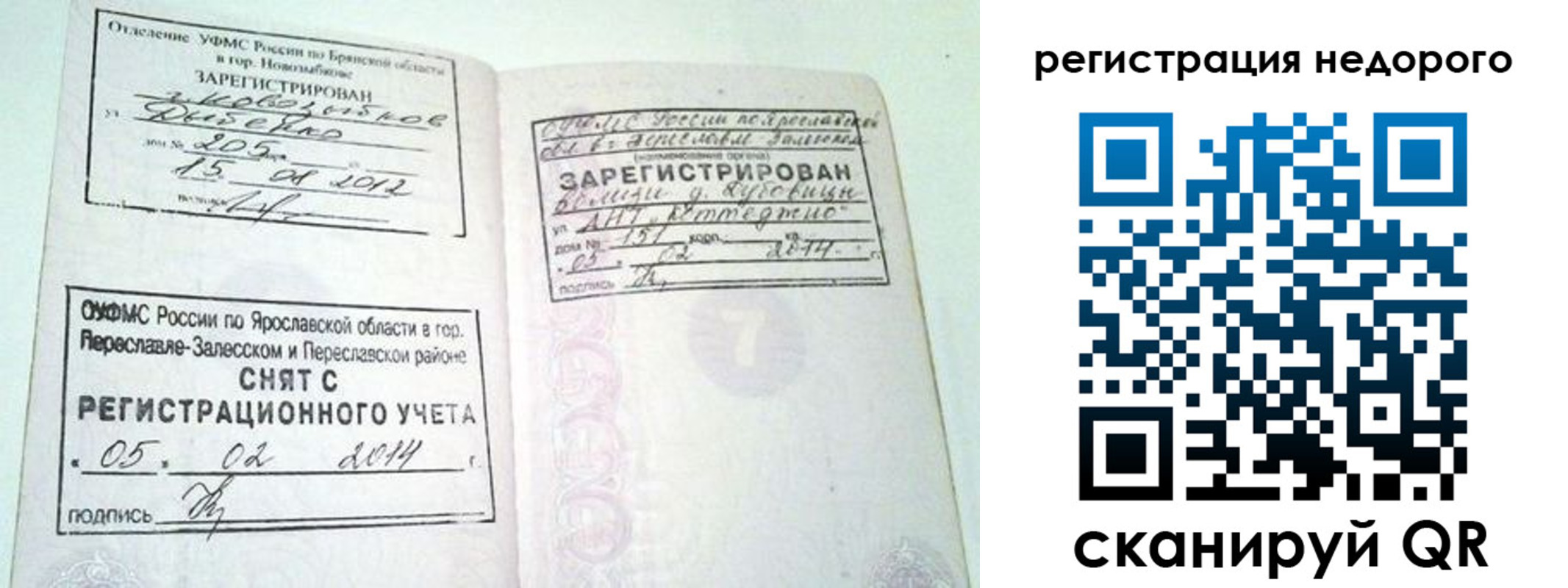 прописка поиск в Зверево